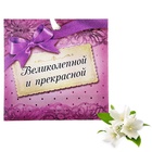 aromasashe_v_konvertike_velikolepnoj_i_prekrasnoj_aromat_polnochnogo_zhasmina